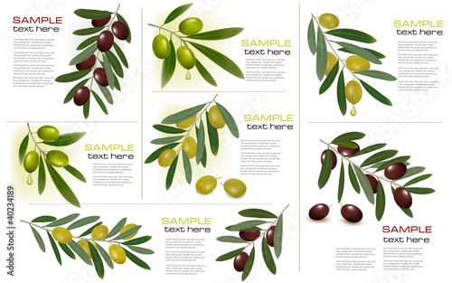 Vektor: Set of backgrounds with green and black olives. Set of backgrounds with green and black olives.