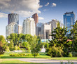 View of downtown from near by park