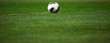 Ball on the green floor