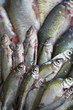 Poisson, animal, pêche, pêcheur, aliment, friture, poissonnier