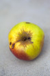 Pomme, fruit, pourri, rongé, aliment, bio, vitamine, frais