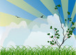 green tree and cherry berries
