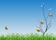 spring cherry tree and four butterflies