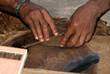 manufacture of cigars at the tobacco factory manufacture of cigars at the tobacco factory