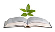 tree growing from open book