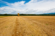 Dry Hay