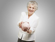 portrait of senior woman showing a piggy bank over grey backgrou portrait of senior woman showing a piggy bank over grey backgrou