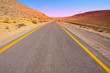 Negev Desert