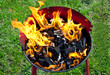 Grillkohle