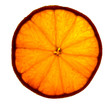 slice of orange in macro, with transapency