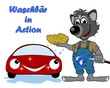 Illustration: Waschbär in Aktion Waschbär in Aktion