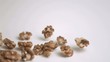 Walnut kernels spread in super slow motion