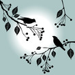 Vektor: Birds on the branch. Summer days. Birds on the branch. Summer days.