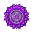 Das siebente Chakra freigestellt