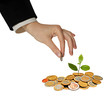 Investing to green business Investing to green business