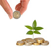 Investing to green business Investing to green business