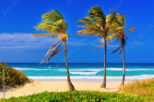 Photo: The beach in Cuba on a beautiful summer day The beach in Cuba on a beautiful summer day