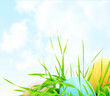 Easter colored eggs border