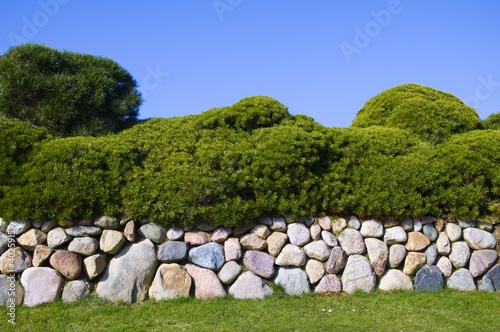 Photo: Friesenwall mit Kiefern @ miket Friesenwall mit Kiefern @ miket
