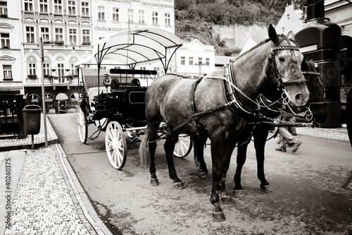 Photo: carriage carriage