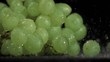 Green grapes in super slow motion receiving drops