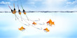 Business Actuel - Poissons Rouges