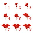 Apprendre à compter (Coquelicots)