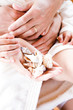Human hand holding shells, close-up