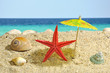 Starfish under sun umbrela shadow