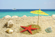 Starfish under sun umbrela shadow