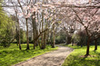 Merrion Square park, Dublin