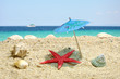 Starfish under sun umbrela shadow