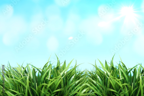 Photo: Spring background Spring background
