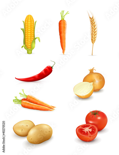 Vector: Vegetables Vegetables