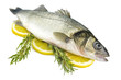 sea bass