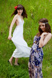 Young girls on the meadow