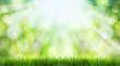 spring background