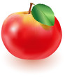 Red apple with green leaf
