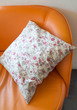 White pillow roses painted