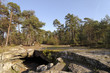 forêt dr Fontainebleau, grotte Béatrix