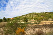 Photo: paisaje mediterráneo primaveral paisaje mediterráneo primaveral