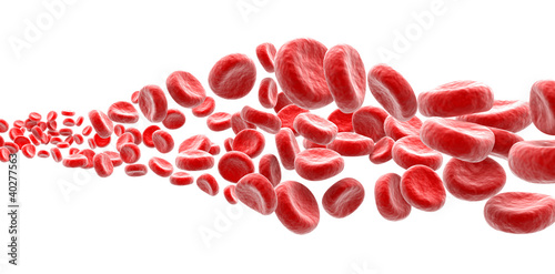 Illustration: Blood cells on white background Blood cells on white background