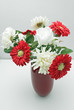 Some studio shots of a very beautiful  flowers