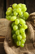 fresh fruits fresh fruits