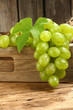 grapes grapes