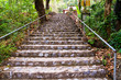 Stone stairs in park
