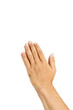 isolated palm together, praying hands