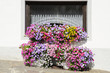 Foto: finestra primaverile finestra primaverile