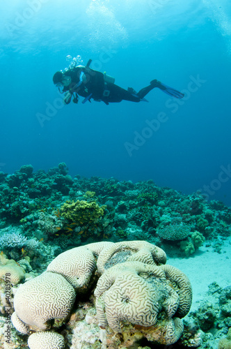 Photo: scuba diver scuba diver