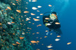 scuba diver swims on coral reef